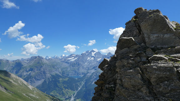 view